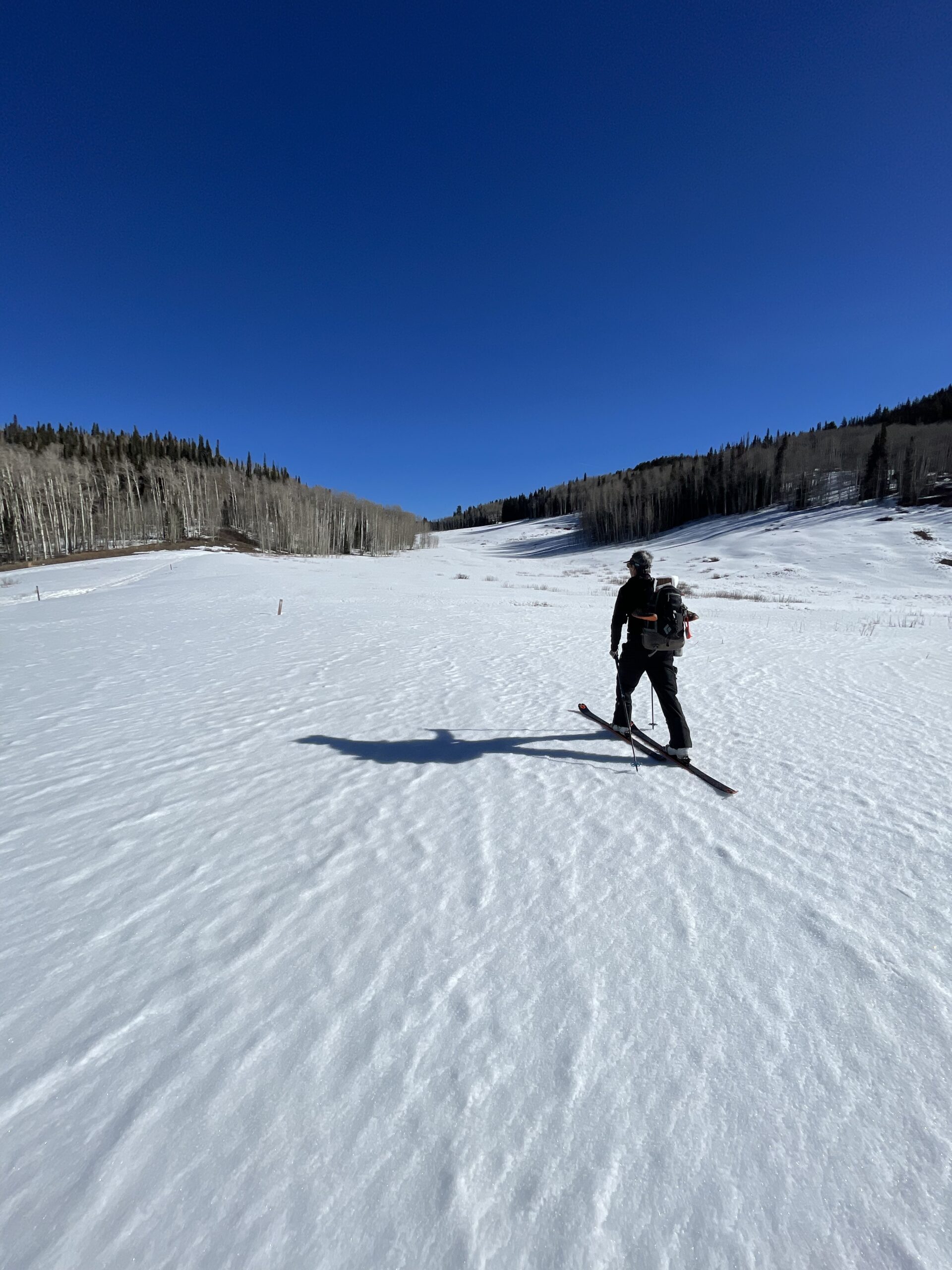 Lottery Recap + Upcoming Winter Booking Opportunities