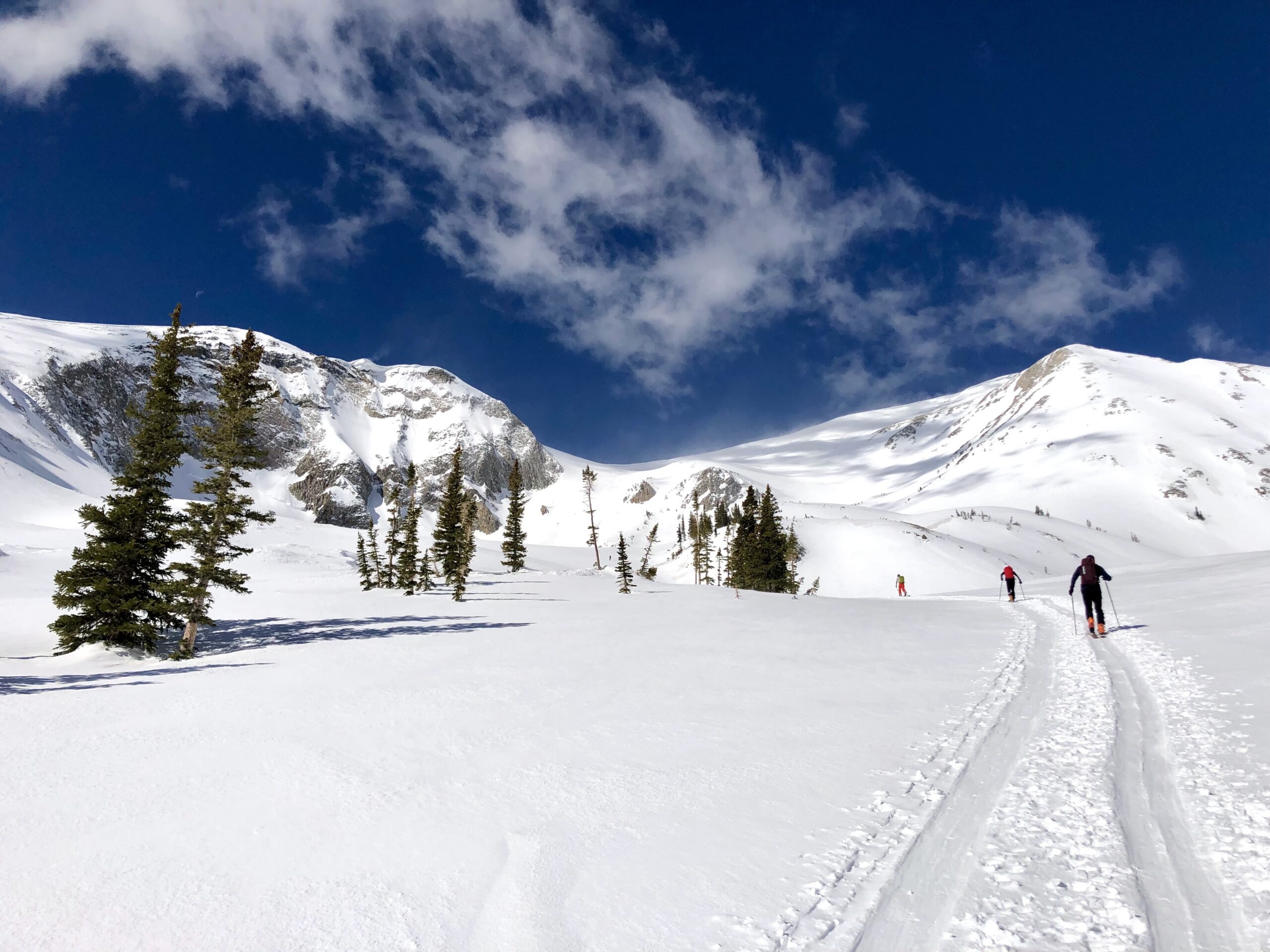 Partner Spotlight: Winter Wildlands Alliance